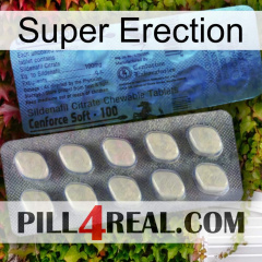 Super Erection 34